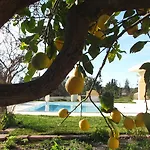 בית כפרי Bulcrini