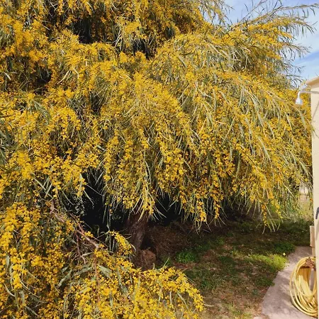 Bulcrini Летний дом Sant Isidoro (Sardinia)