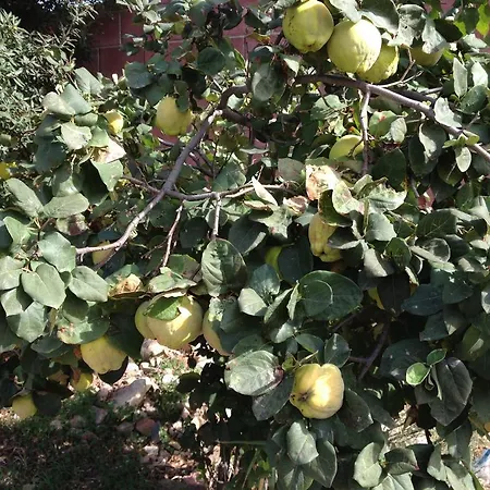 Séjour à la campagne Bulcrini *