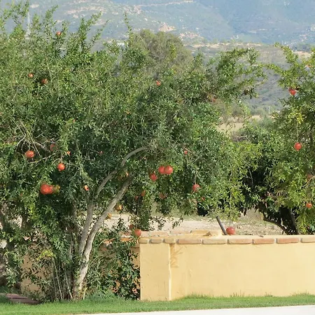 Bulcrini Sant Isidoro (Sardinia)