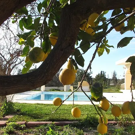 Hétvégi ház Bulcrini