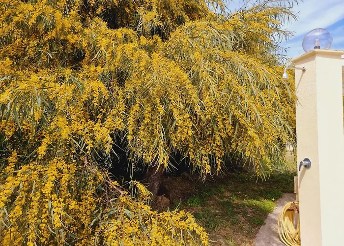 Bulcrini Kır Evi Sant Isidoro (Sardinia)